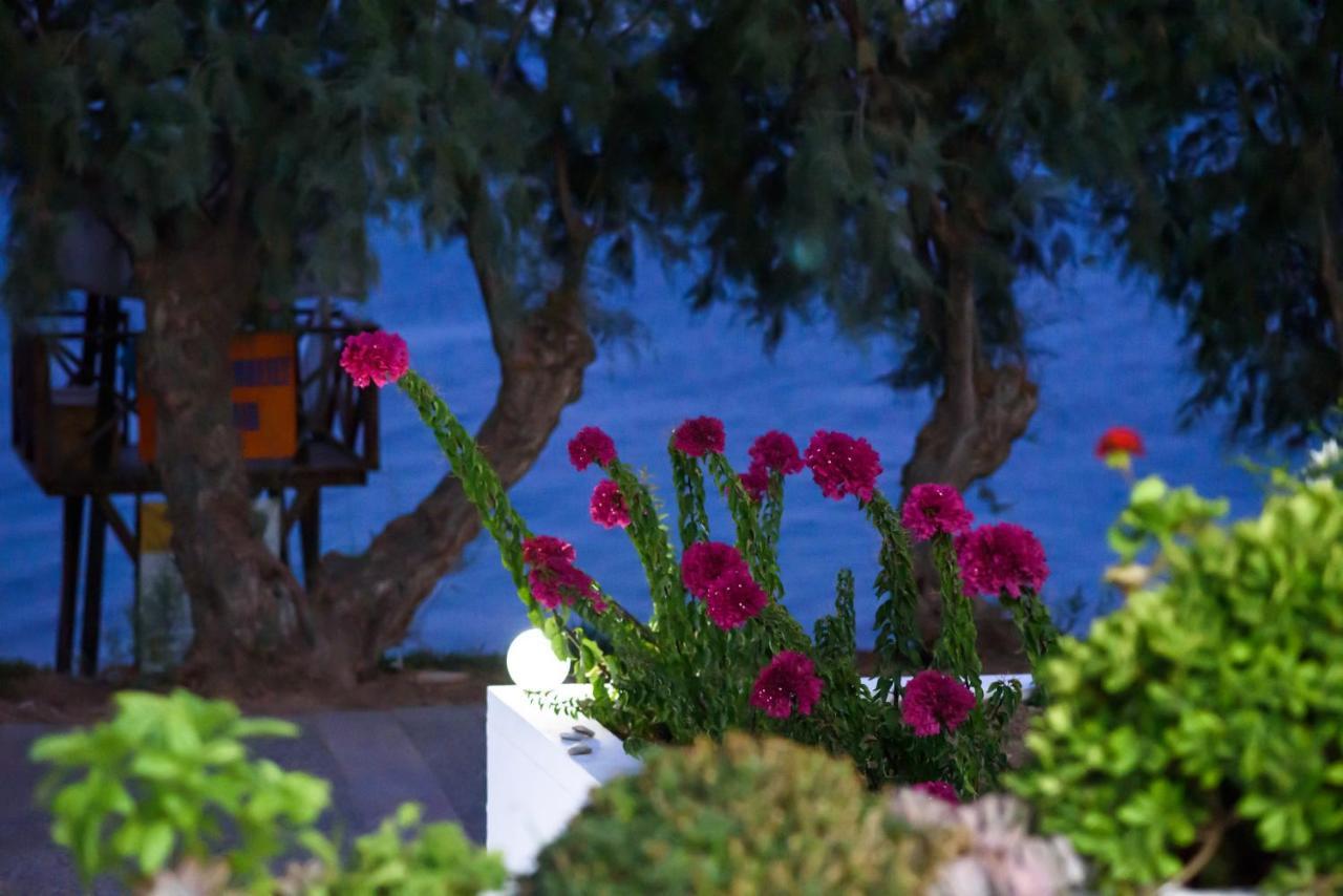 Aliki Studios Paralia Agias Foteinis المظهر الخارجي الصورة