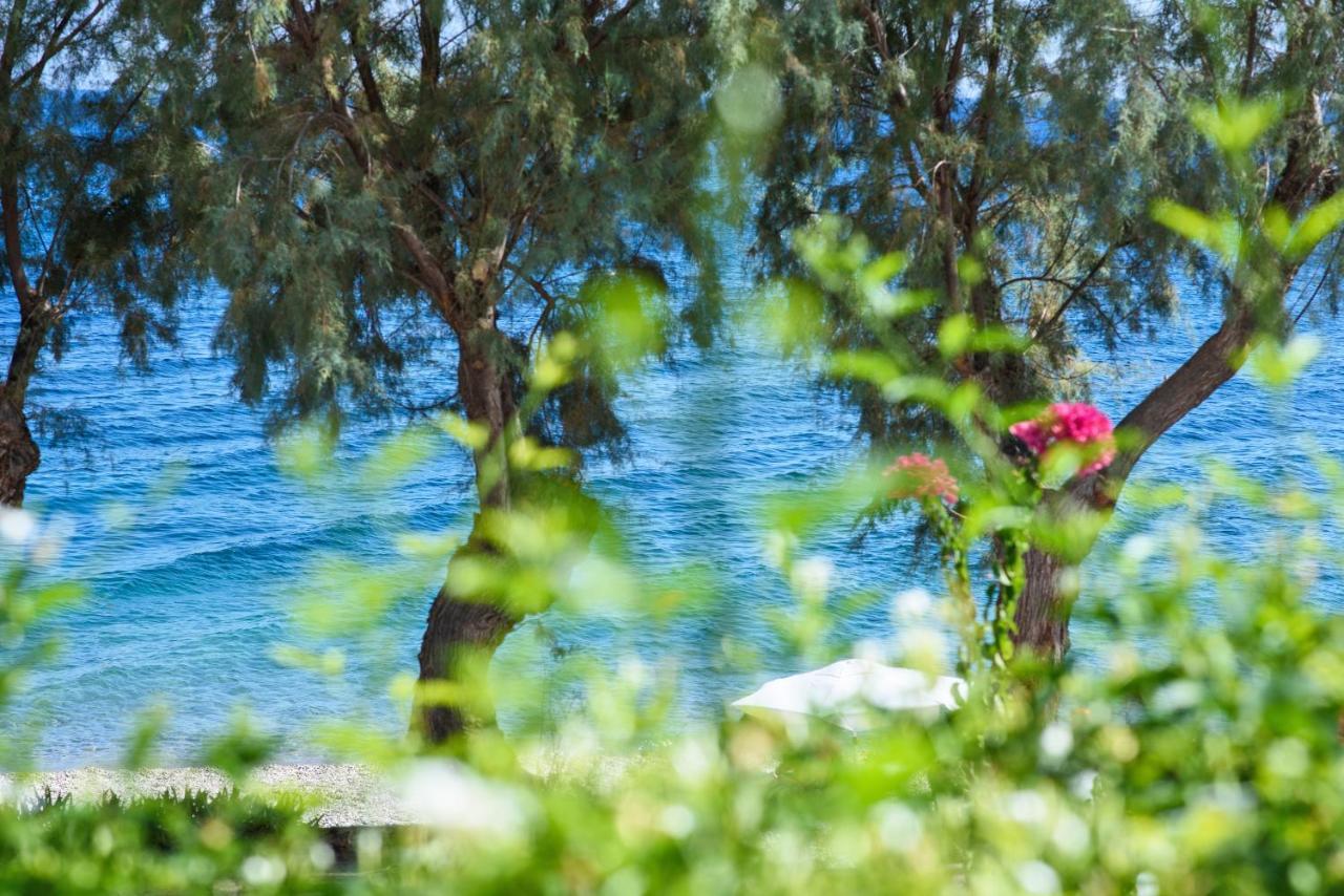 Aliki Studios Paralia Agias Foteinis المظهر الخارجي الصورة
